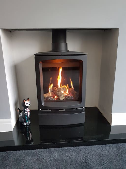 Gas stove