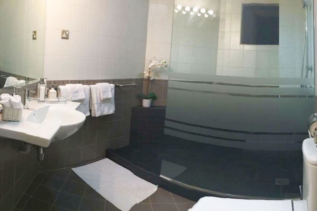Luxury Big toilet attached to the room.