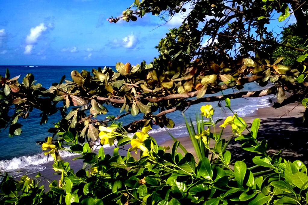 *Sea View* Apartment Terrace 35 sq meters + private and direct access on the beach, a few yard from the water