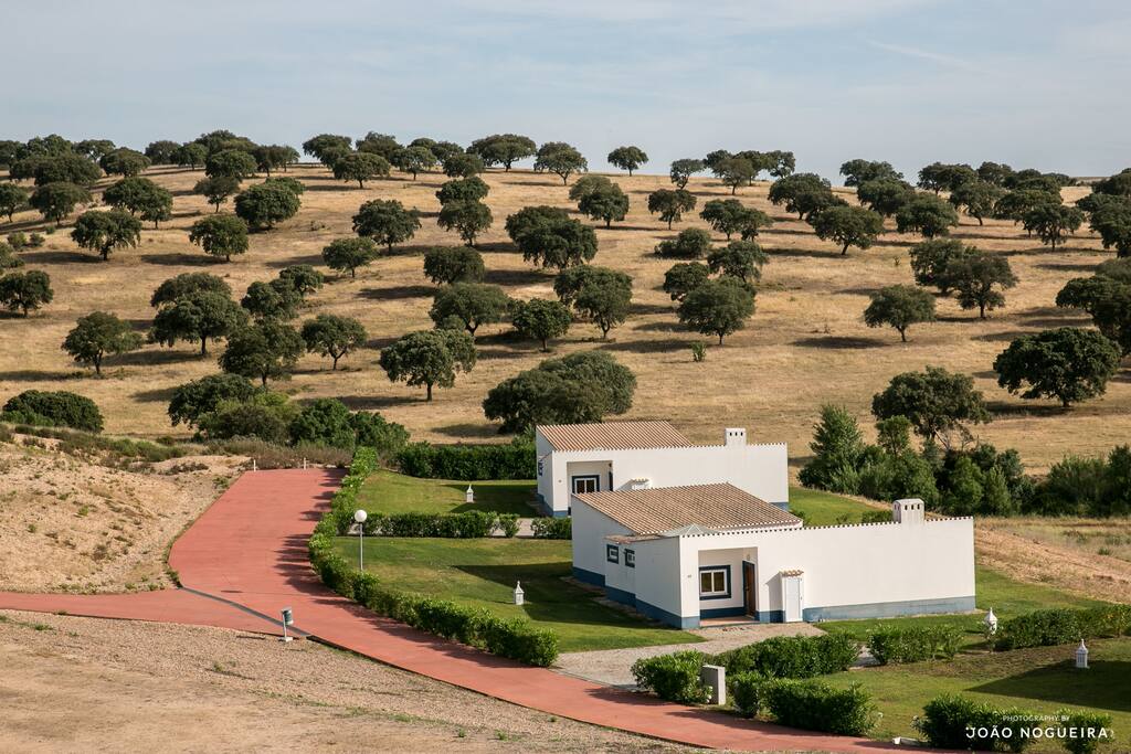 Herdade do Gizo