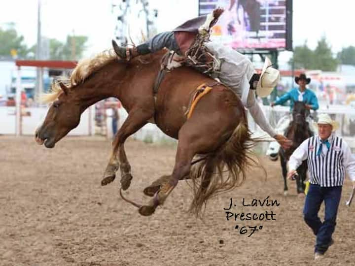 Decatur Vacation Rentals & Homes Texas, United States Airbnb