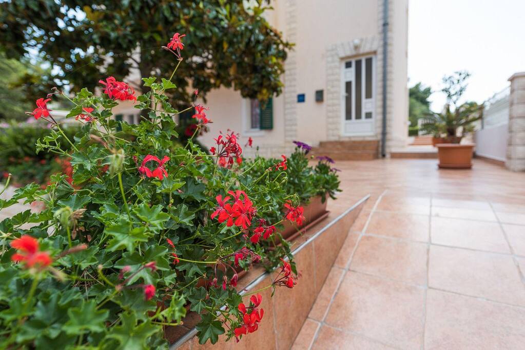 courtyard