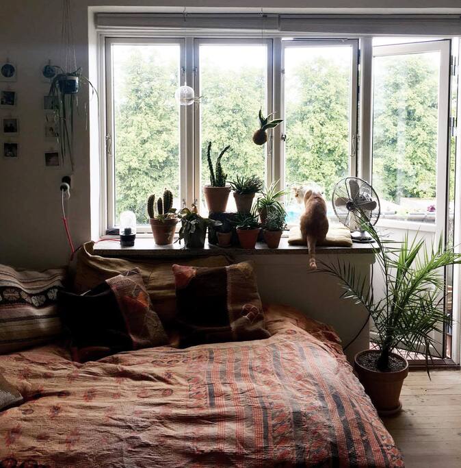 Room 1