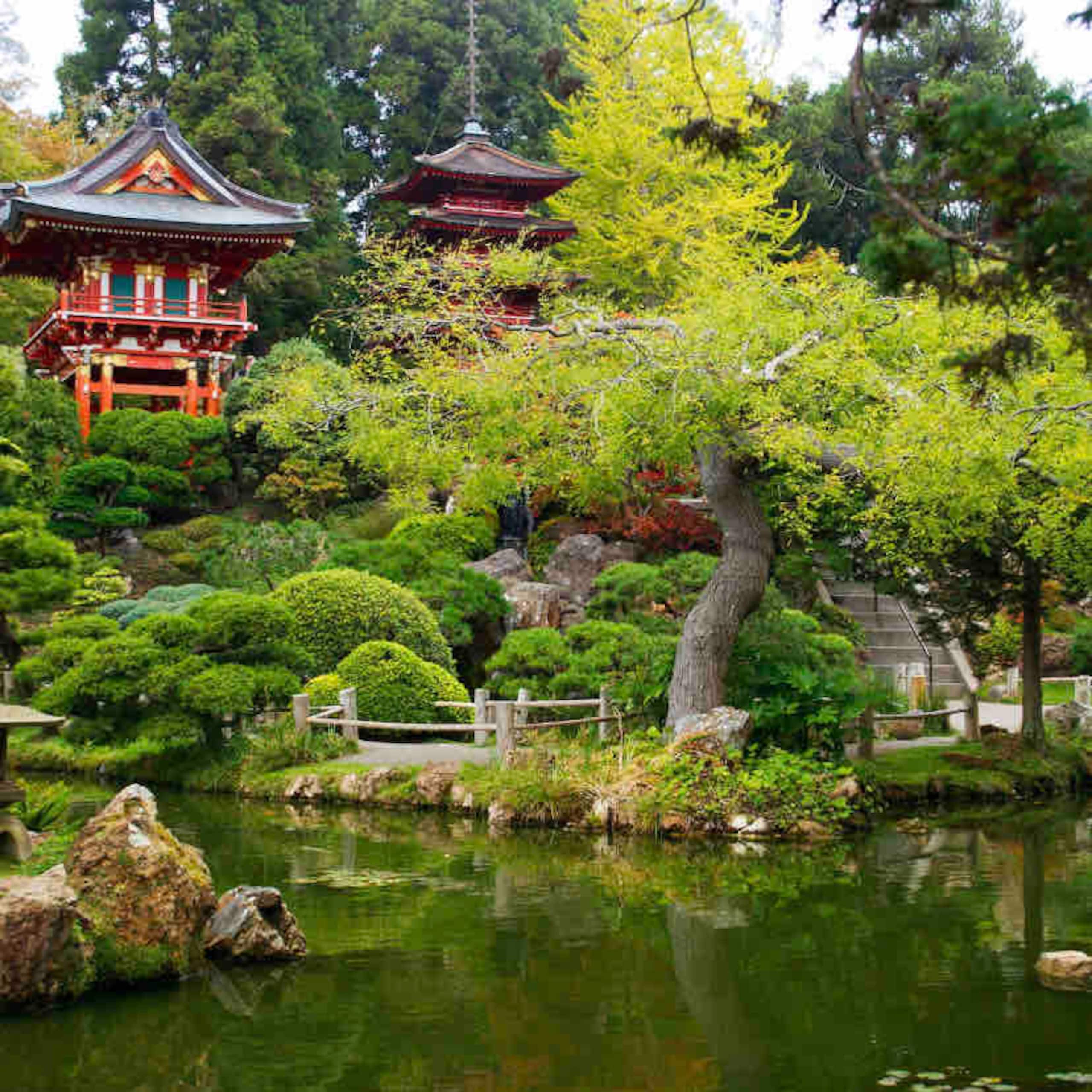 Home in San Francisco · ★4.96 · 3 bedrooms · 4 beds · 1.5 baths - Image 52