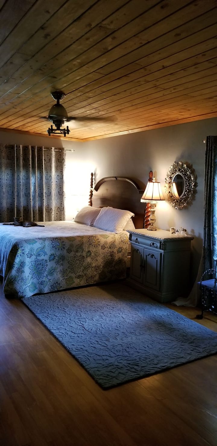 Lake Hollingsworth Holiday Rentals & Homes Lakeland, FL Airbnb