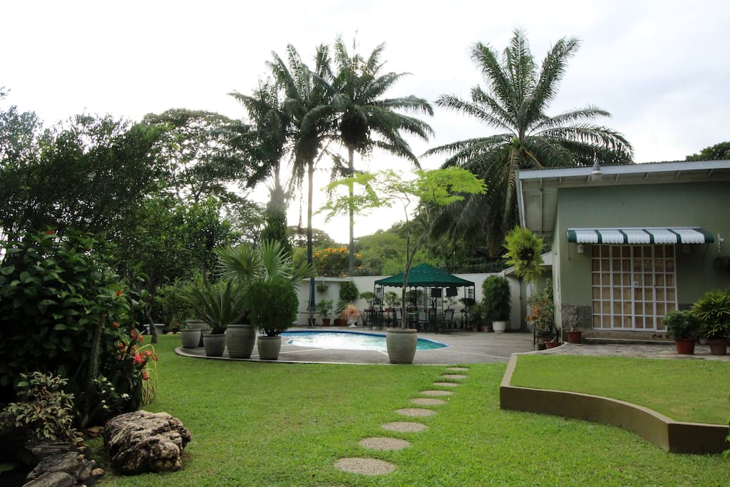 Tropical landscaped garden, fishpond and pool.