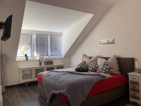 Modern apartment in the center of Altenburg for 1-4 people, elevator