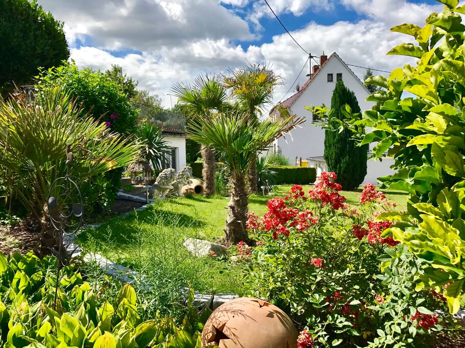 Unser Palmengarten . ...