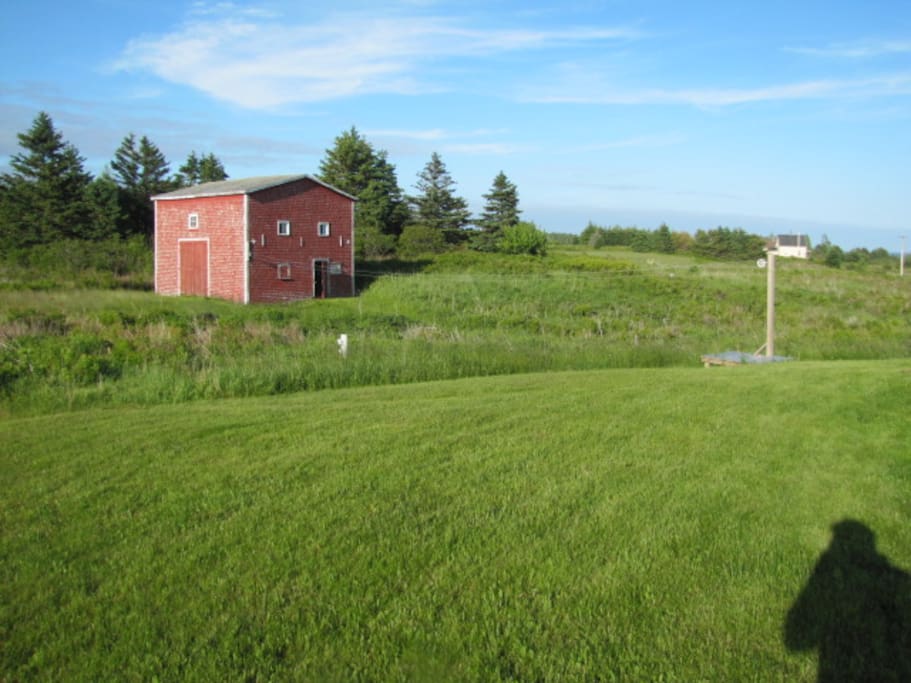 Our barn