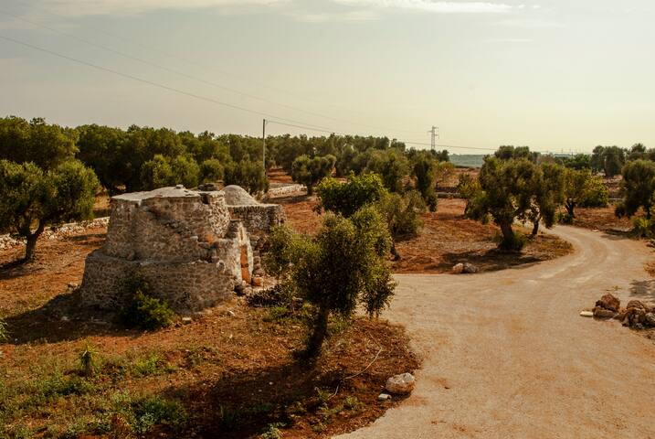 Puglia Casa Capra – Hidden Gem in Alto Salento gallery image 5