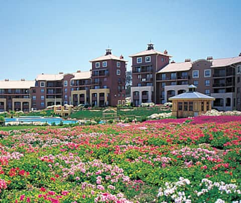 Top performing Airbnb: Apartment in Ilimay condominium, Las Cruces in El Tabo
