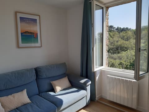 Apartment in the center of La Roche Bernard