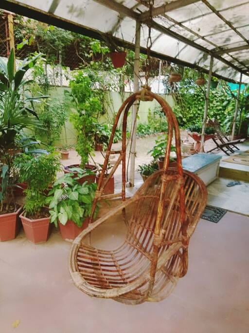 garden area