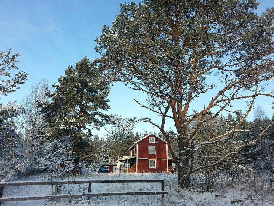 Im Winter
Vintern....