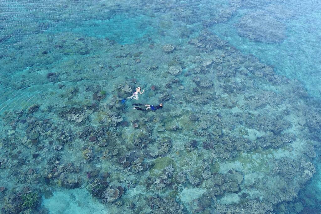 Great snorkeling