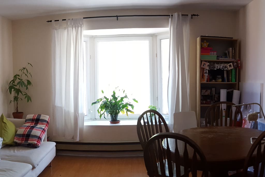 Panorama of living and dining