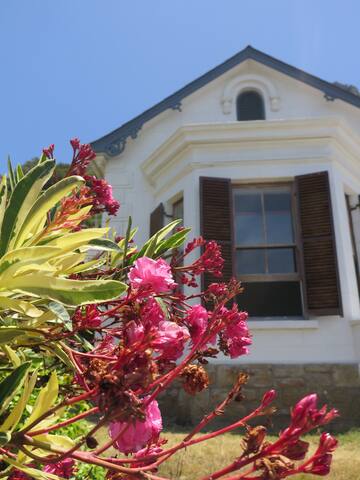 Spacious Oceanfront Historic Carisbrooke House gallery image 4