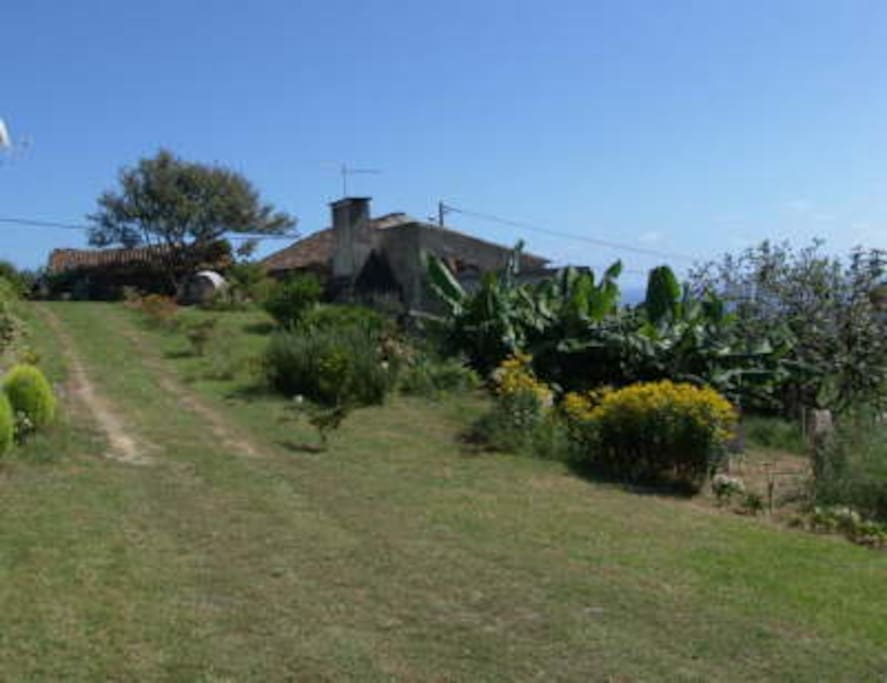 espaço ao lado da casa