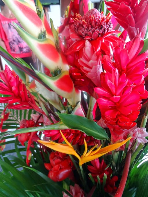 Les fleurs tropicales