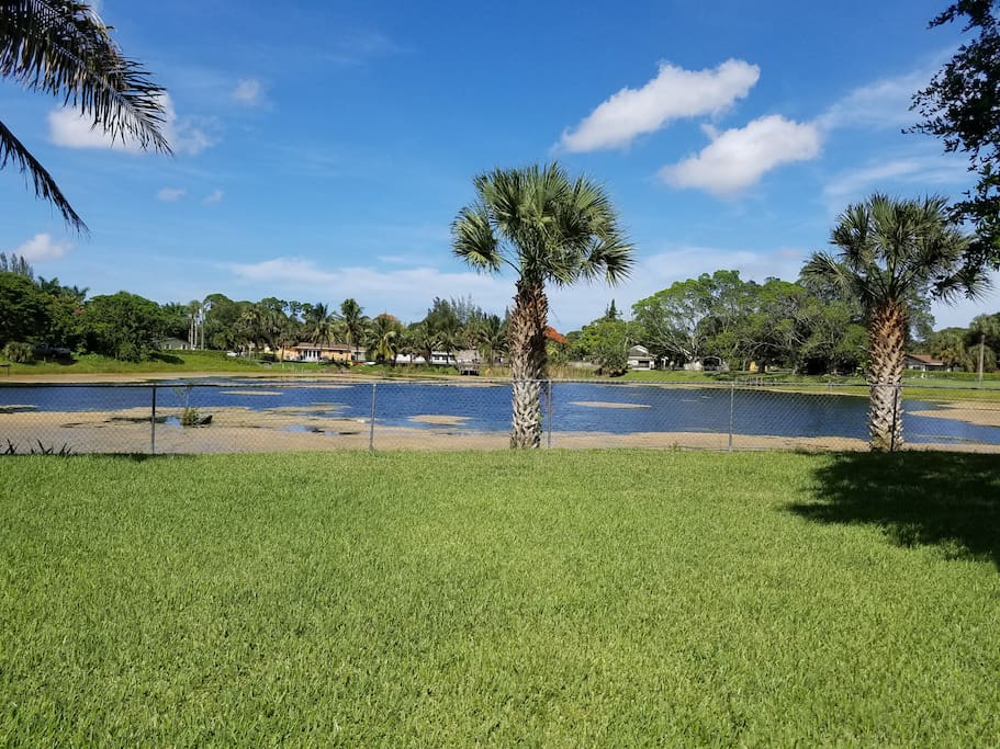 Lake Front Property