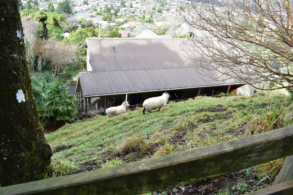 Neighbours