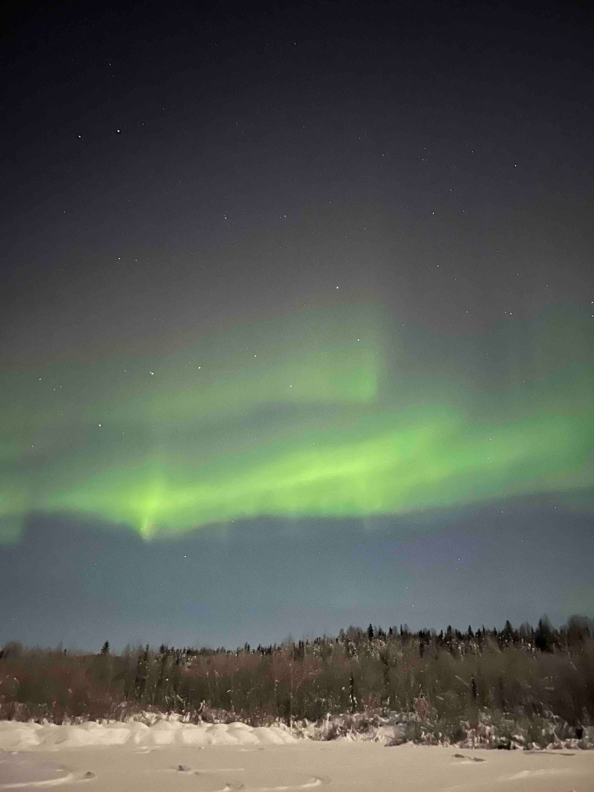 The Northern Lights illuminate the night sky with vibrant green hues, cascading across a dark background. A snowy landscape is visible below, with a line of dense trees silhouetted against the glowing aurora, creating a serene and natural atmosphere.