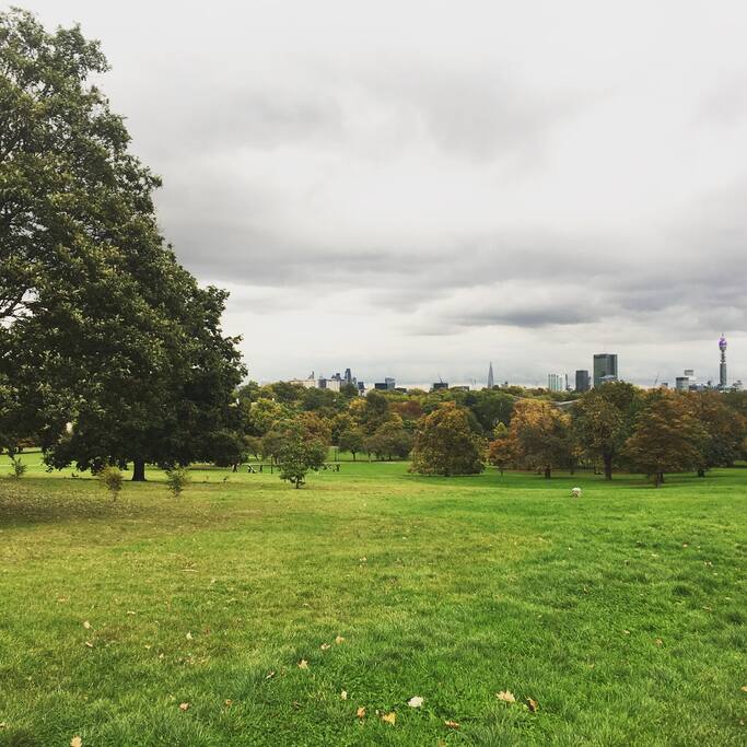 Primrose Hill (2min from flat)