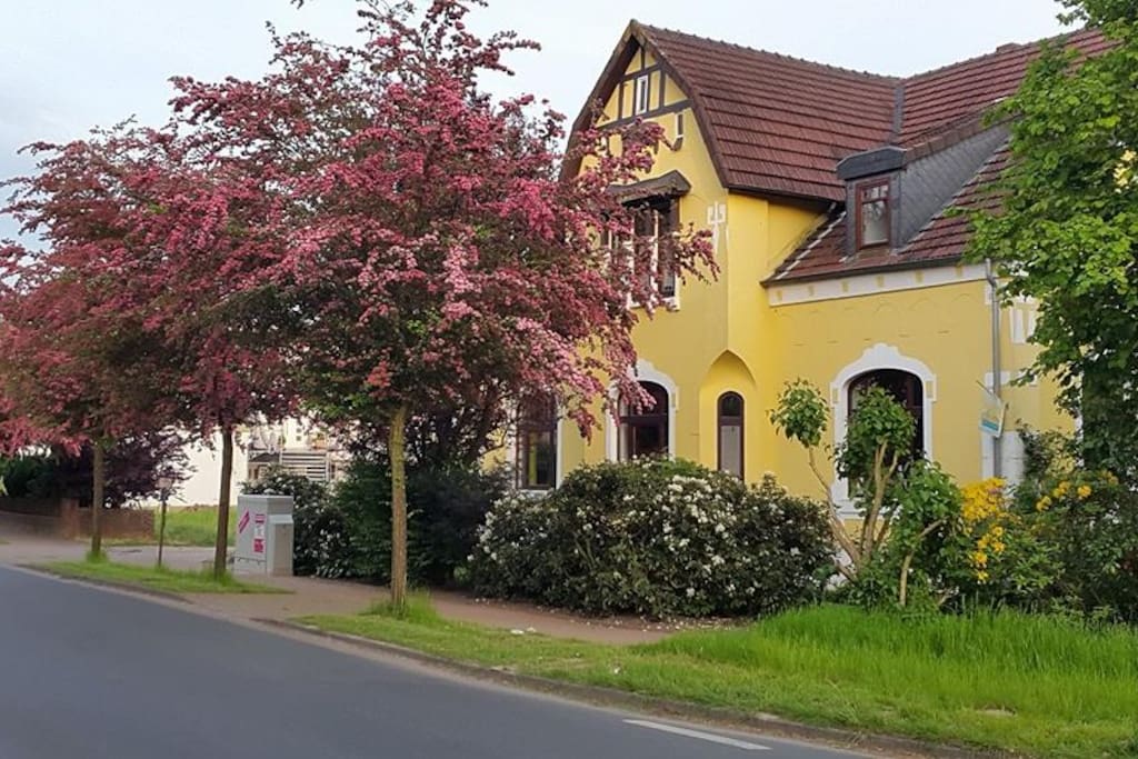 Villa Viva im Frühling