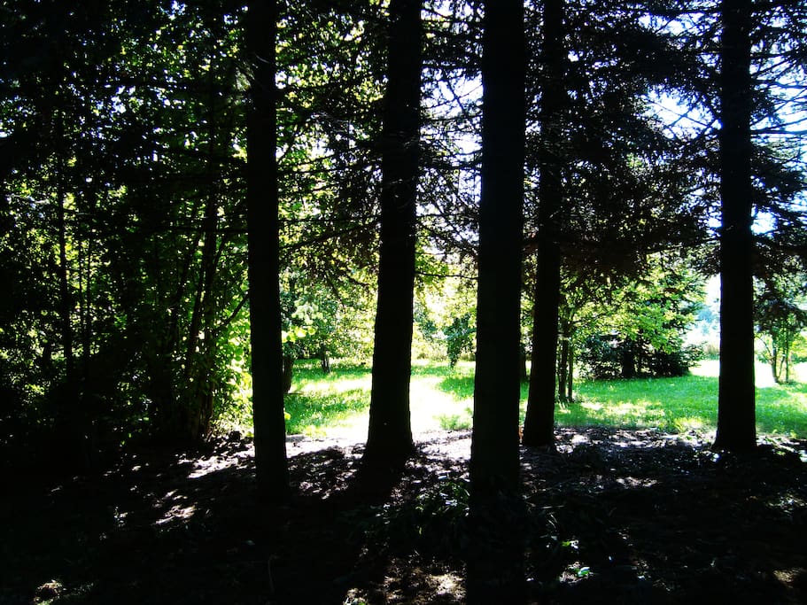 Licht und Schatten