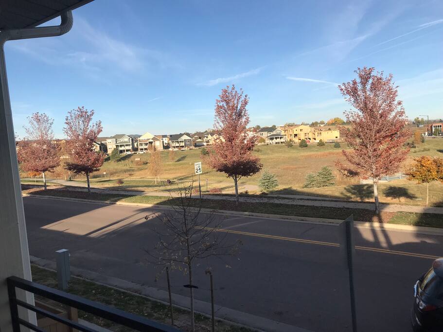 Open space across the street with walking trails.