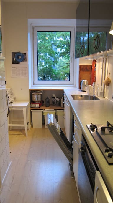 The kitchen with a washing machine - what not to like