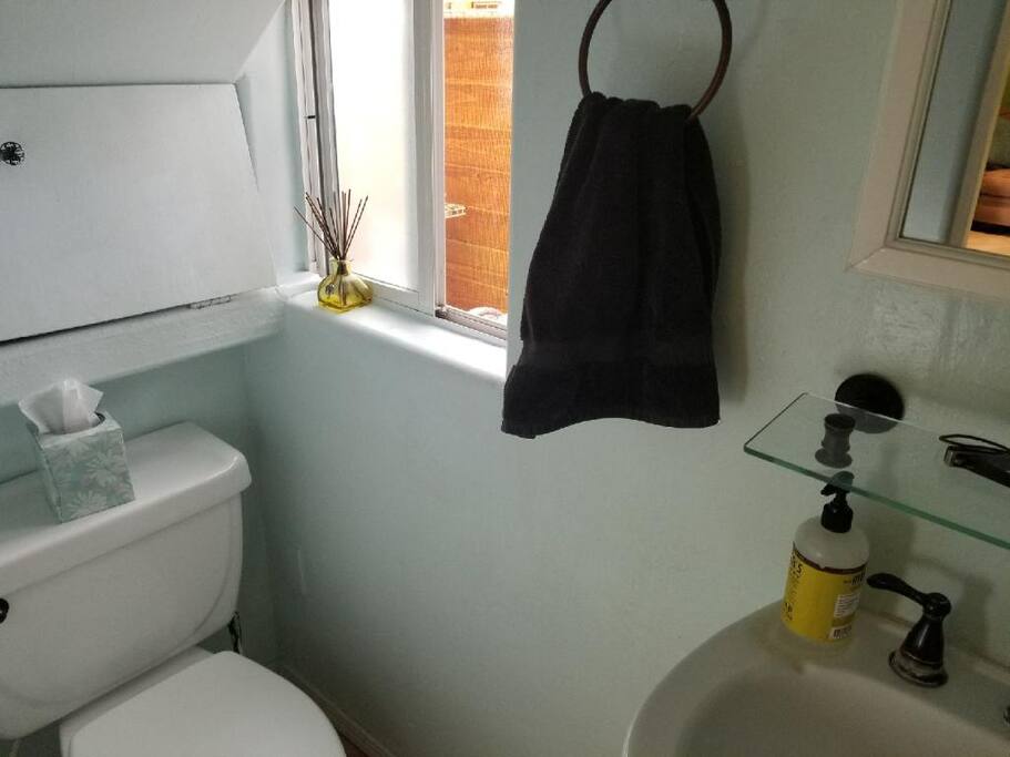 Downstairs Bath