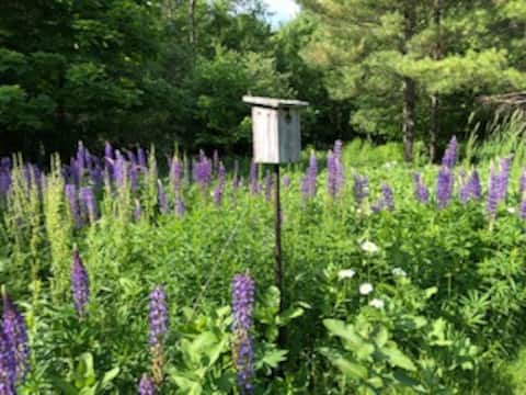 Northern Vermont Country Escape/ The Martin House