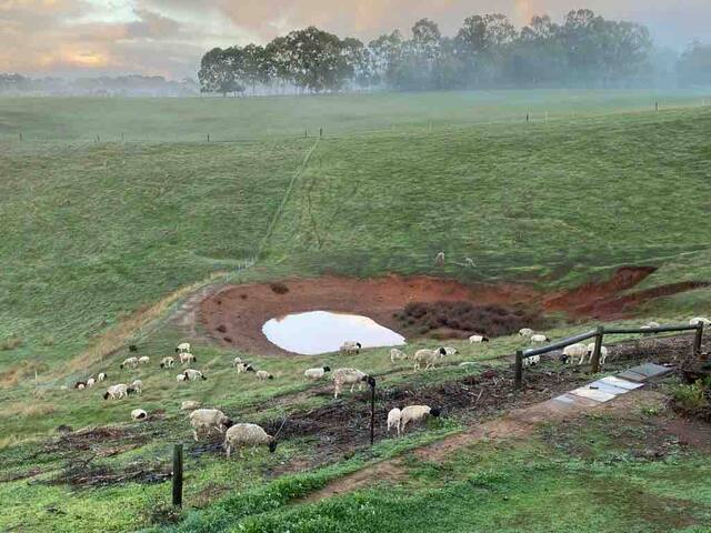 Avon Valley Homestead-Farm Stay gallery image 5