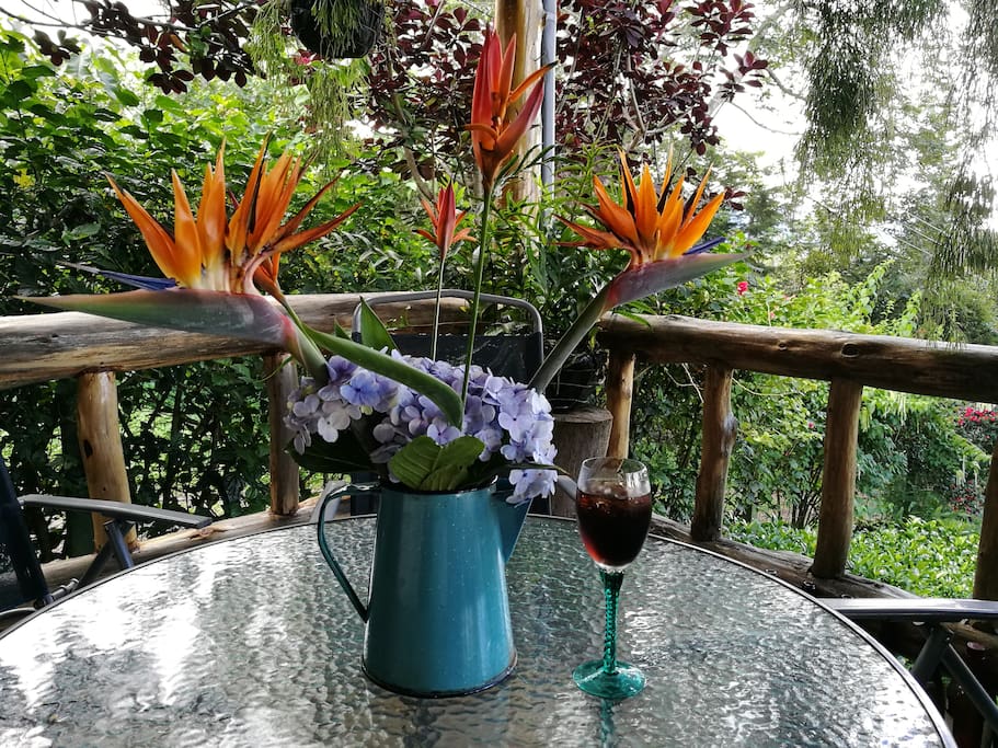 Terraza