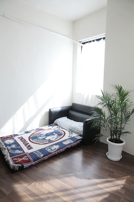 Sofa Bed