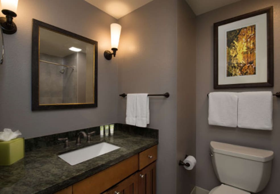 Guest room - bathroom