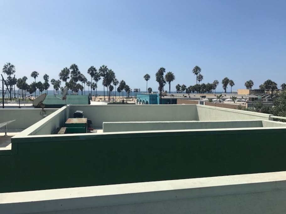 View from shared rooftop.