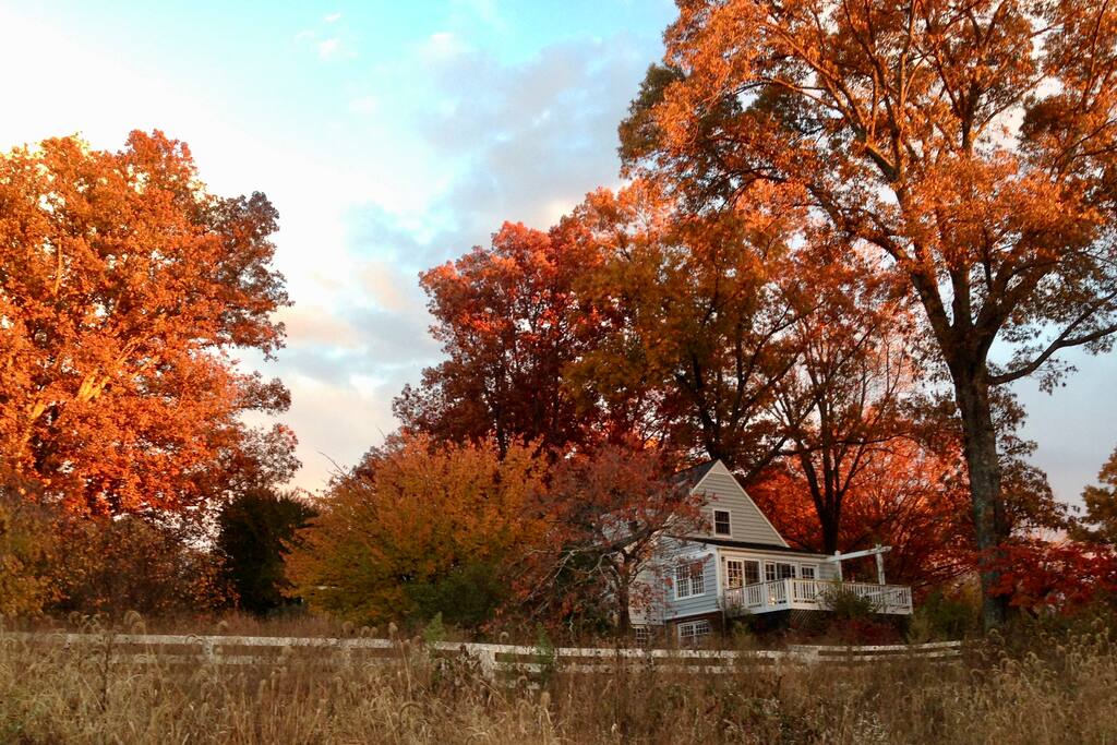 Guest deck from the meadow in fall
