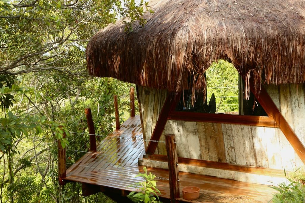 The cabin features a thatched roof, blending with the surrounding greenery. A wooden deck extends outward, providing a seamless connection to nature. Large windows framed by natural materials allow for views of the forested environment.