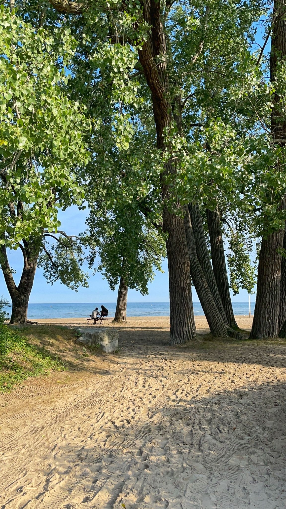 A sandy pathway leads through tall trees to a beach area along Lake Ontario. In the distance, two individuals are seated on a stone bench, enjoying the scenic view of the water and horizon. Sunlight filters through the lush green leaves overhead.