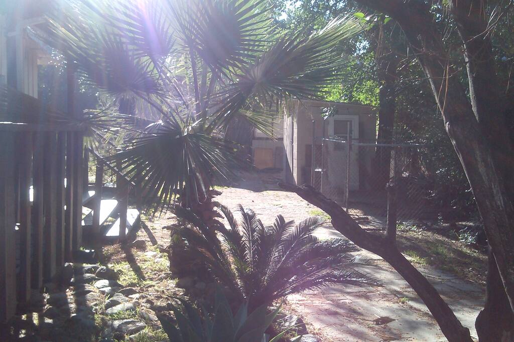 Walk way to cottage