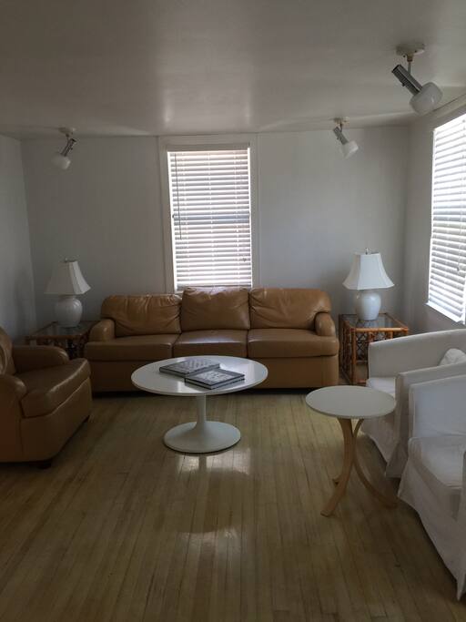 TV room with pull out couch