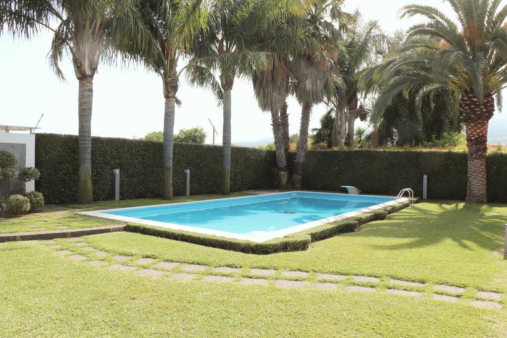 pool and garden