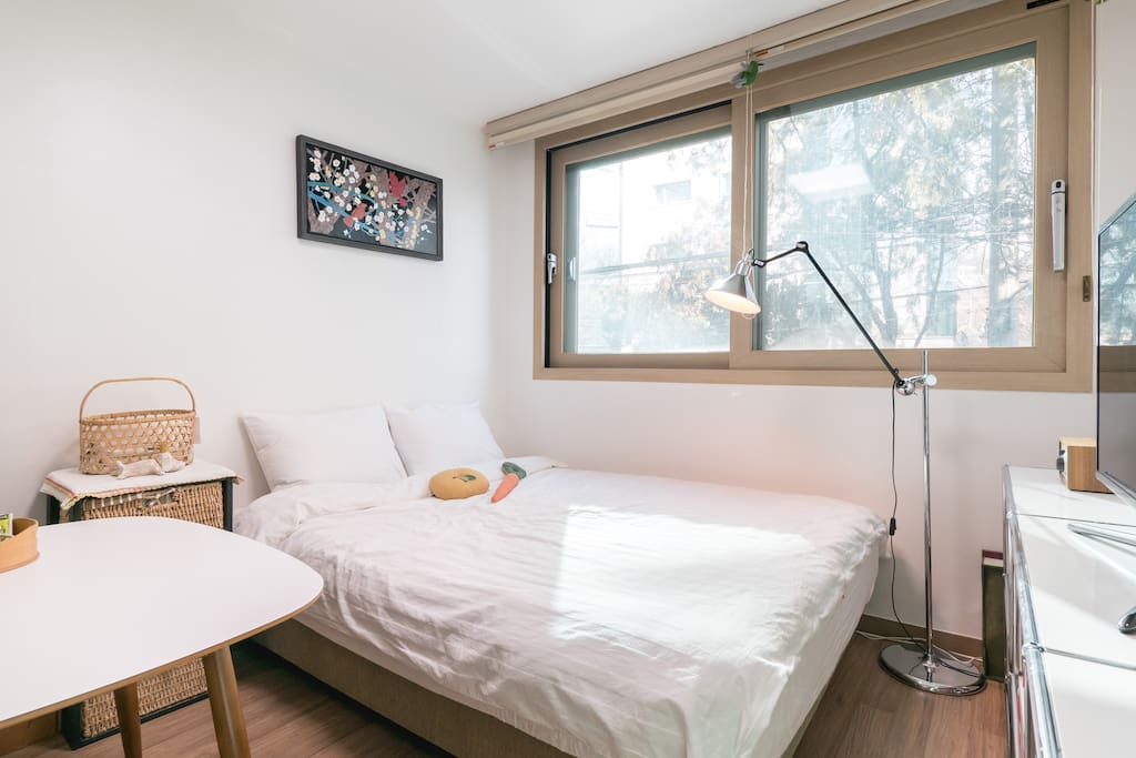 The wide window allows for morning sunshine.