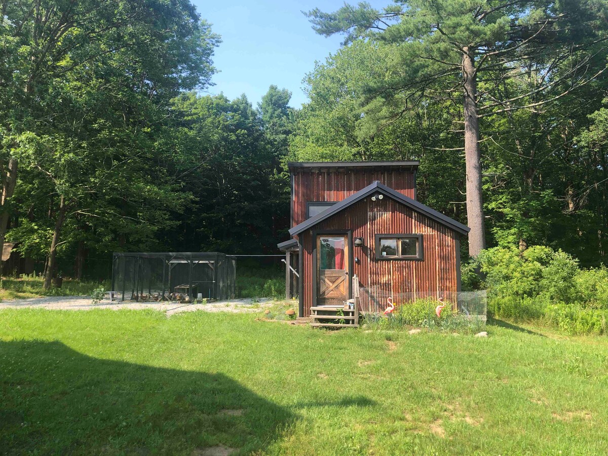 The exterior of the Higgle House features rustic wooden siding, tall trees surrounding the property, and a well-maintained lawn. A wooden staircase leads to the entrance, while a fenced area is visible nearby, complementing the natural setting.