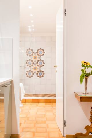 Spanish Steps Luxury Home gallery image 5