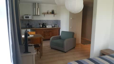 Great located studio apartment.