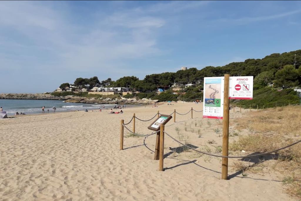 Indicaciones en la playa para regular un uso correcto del espacio