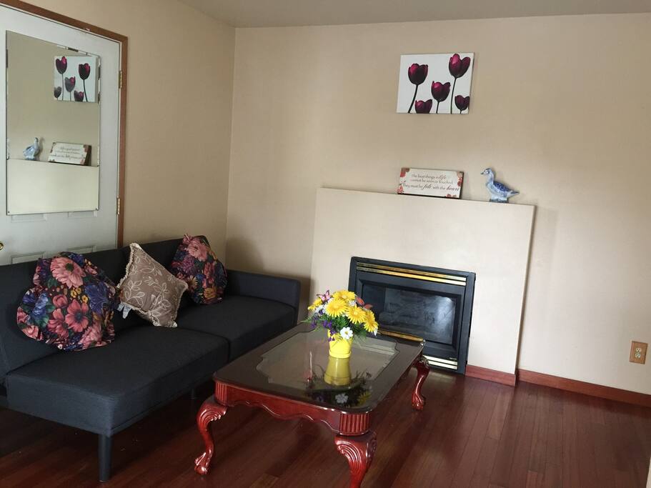 Living Room: With Futon Sofa bed